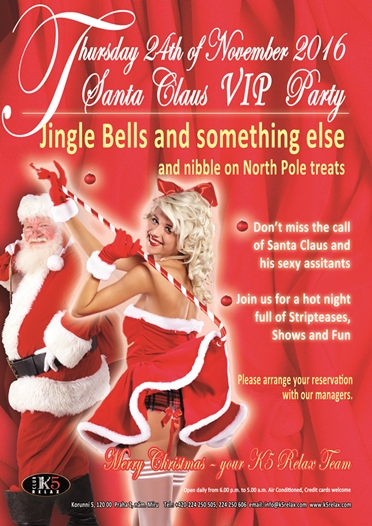 Santa Claus VIP Party